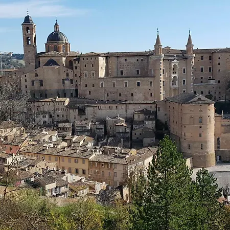 La Contessa Urbino