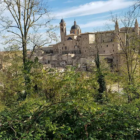 La Contessa Urbino